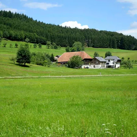 Kinast - Hft201 By Interhome Daire *