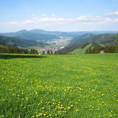 Kinast - Hft201 By Interhome Daire Hofstetten (Baden-Wurttemberg)