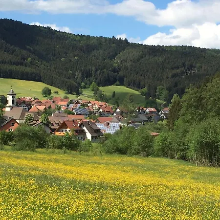 Kinast - Hft201 By Interhome * Hofstetten (Baden-Wurttemberg)