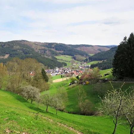 Kinast - Hft201 By Interhome Hofstetten (Baden-Wurttemberg)