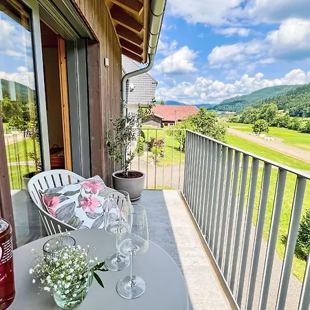 Lägenhet Kinast - Hft201 By Interhome Hofstetten (Baden-Wurttemberg)