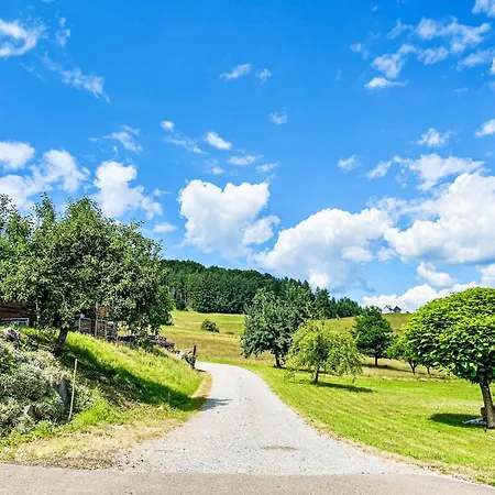 Kinast - Hft201 By Interhome Lägenhet Hofstetten (Baden-Wurttemberg)