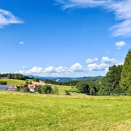 Kinast - Hft201 By Interhome Lägenhet Hofstetten (Baden-Wurttemberg)